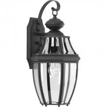 Progress P6611-31 - New Haven Collection One-Light Medium Wall Lantern