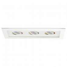 WAC US MT-316LED-WT/WT - Low Voltage Multiple Two Light Trim