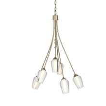 Hubbardton Forge 103043-SKT-84-ZS0354 - Flora 6 Arm Chandelier