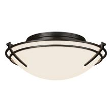 Hubbardton Forge 124402-SKT-14-GG0098 - Presidio Tryne Flush Mount