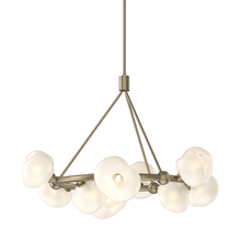 Hubbardton Forge 131069-SKT-MULT-84-FD0710 - Ume 9-Light Ring Pendant