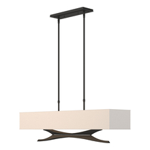 Hubbardton Forge 137655-SKT-STND-10-SE4298 - Moreau Pendant