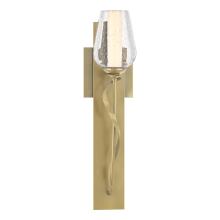 Hubbardton Forge 203030-SKT-86-ZS0354 - Flora Sconce