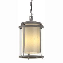 Hubbardton Forge 365615-SKT-78-ZS0283 - Meridian Large Outdoor Ceiling Fixture