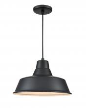 Millennium RCLWC14-SB - R Series 1-Light Cord Hung Classic Warehouse Satin Black