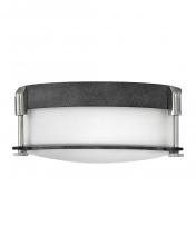 Hinkley 3231DZ - Small Flush Mount